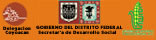 Página Oficial de Desarrollo Social del Distrito Federal